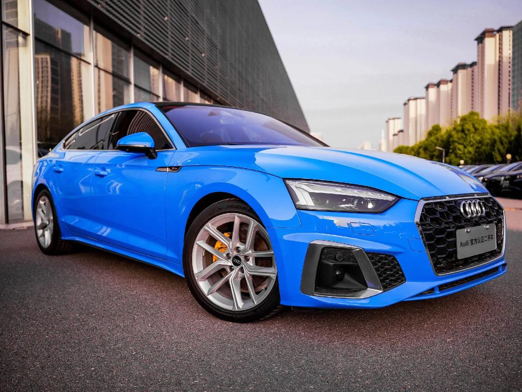 奥迪驾控汇2020_如何通过奥迪提升驾驶员的操控感？_奥迪驾控体验