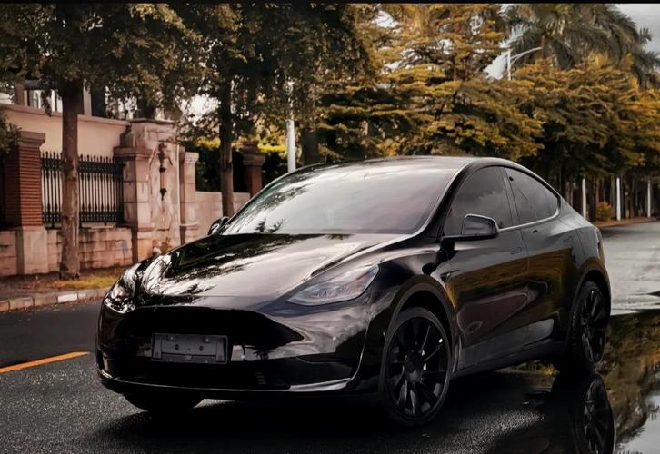 特斯拉家庭车_特斯拉车主要求_特斯拉Model Y如何满足家庭出行需求?